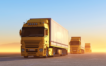 Transport Sector